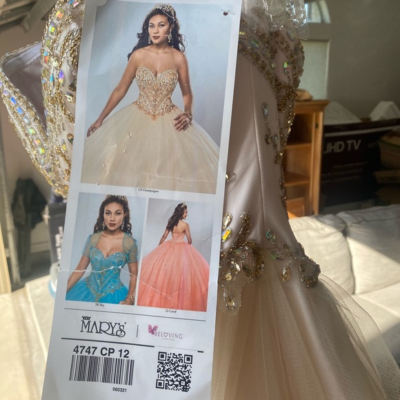 Champagne Quinceañera Dress (New w/ tags) - Picture 9 of 10